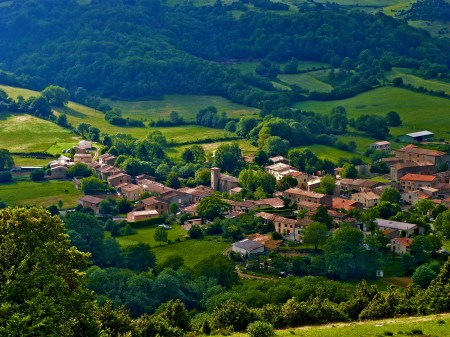 Bouisse. © Photo Franc Bardou.