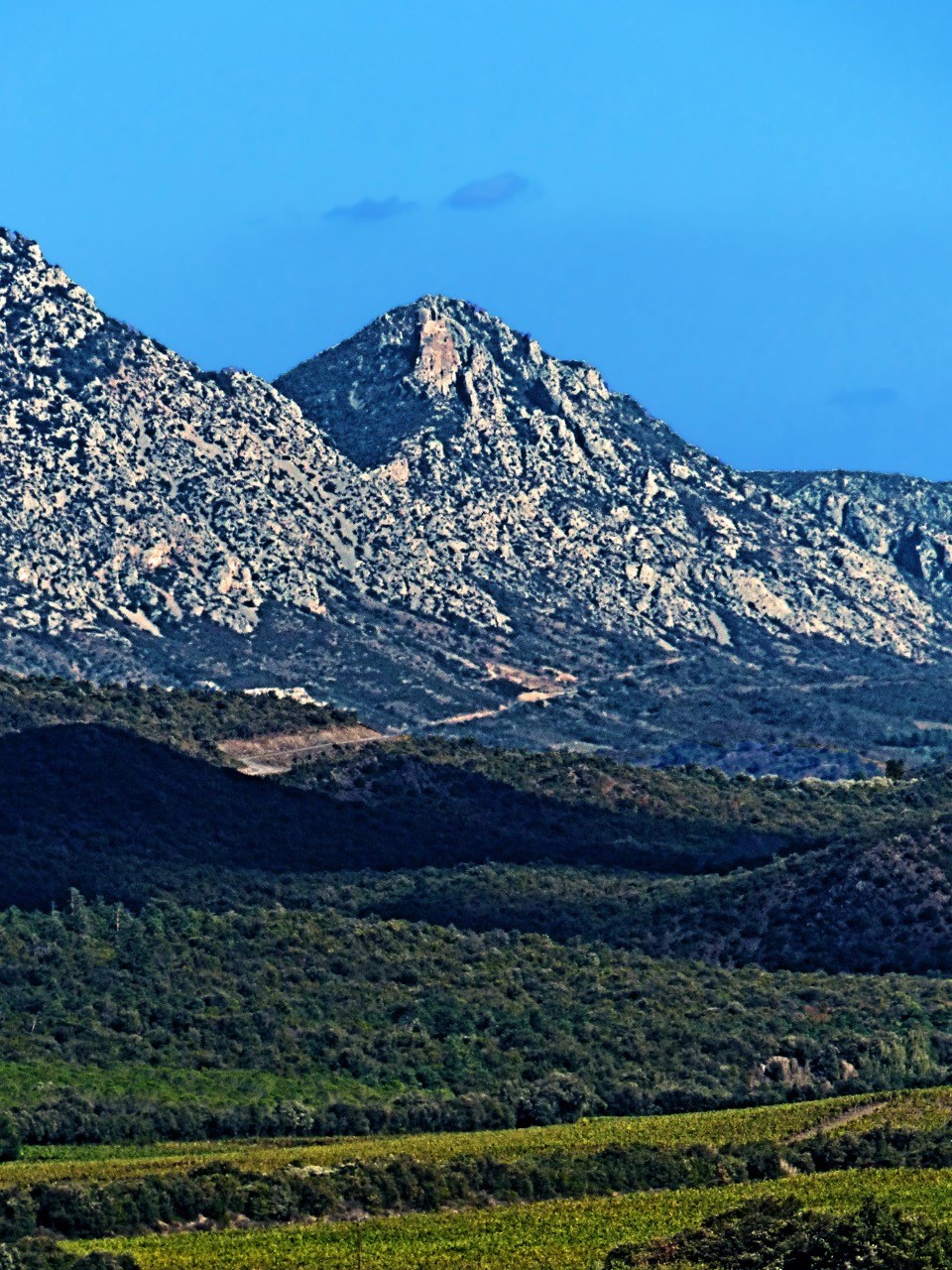 queribus-depuis-environ-de-caudies